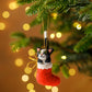 NEW Cat Christmas Decorations Bundle